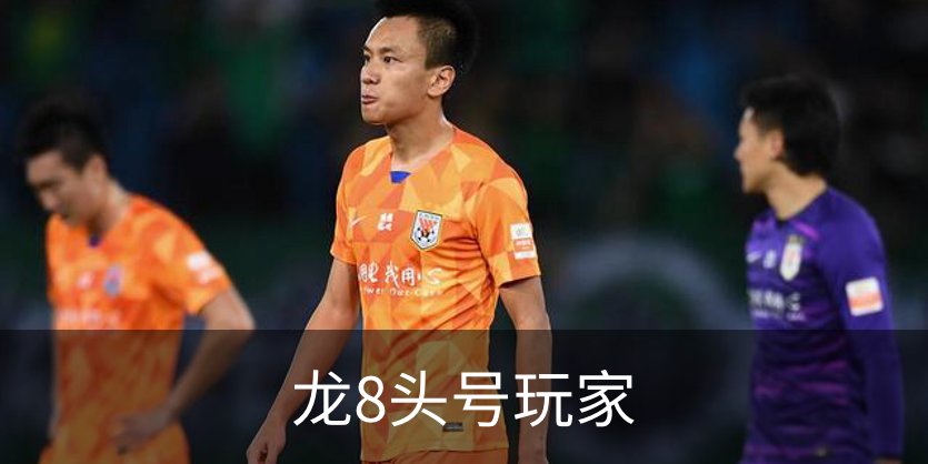 龙8头号玩家品牌故事